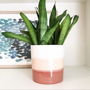 Specked Ombré Ceramic Planter
